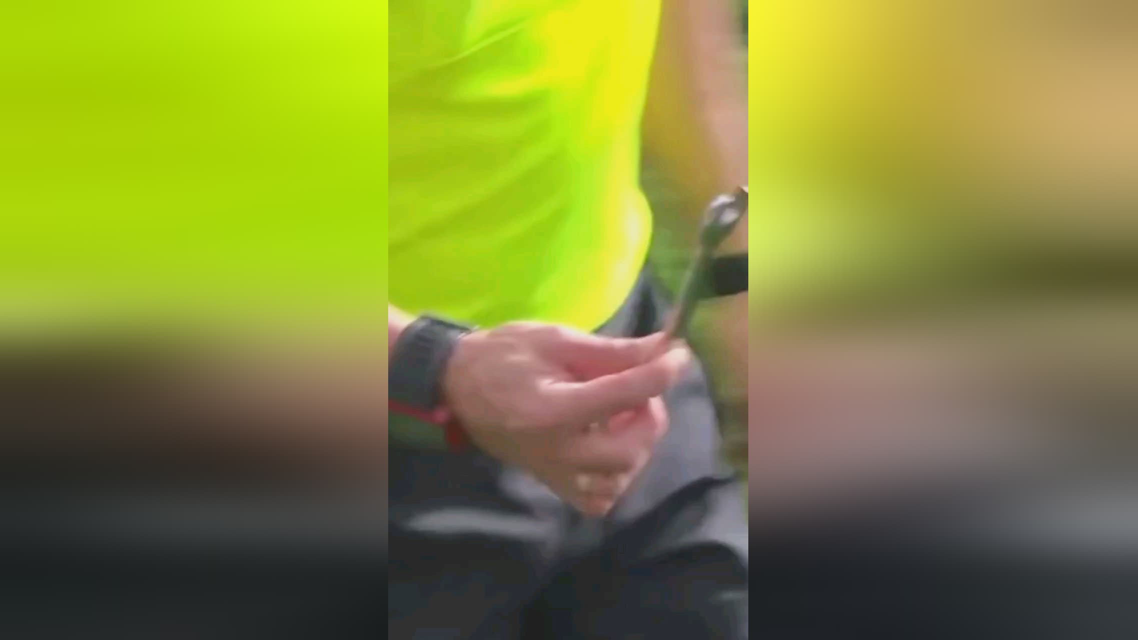 队的